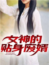 女神的贴身废婿